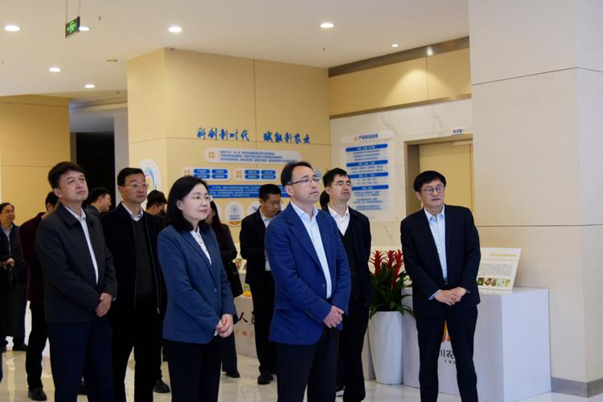 中海企达网络